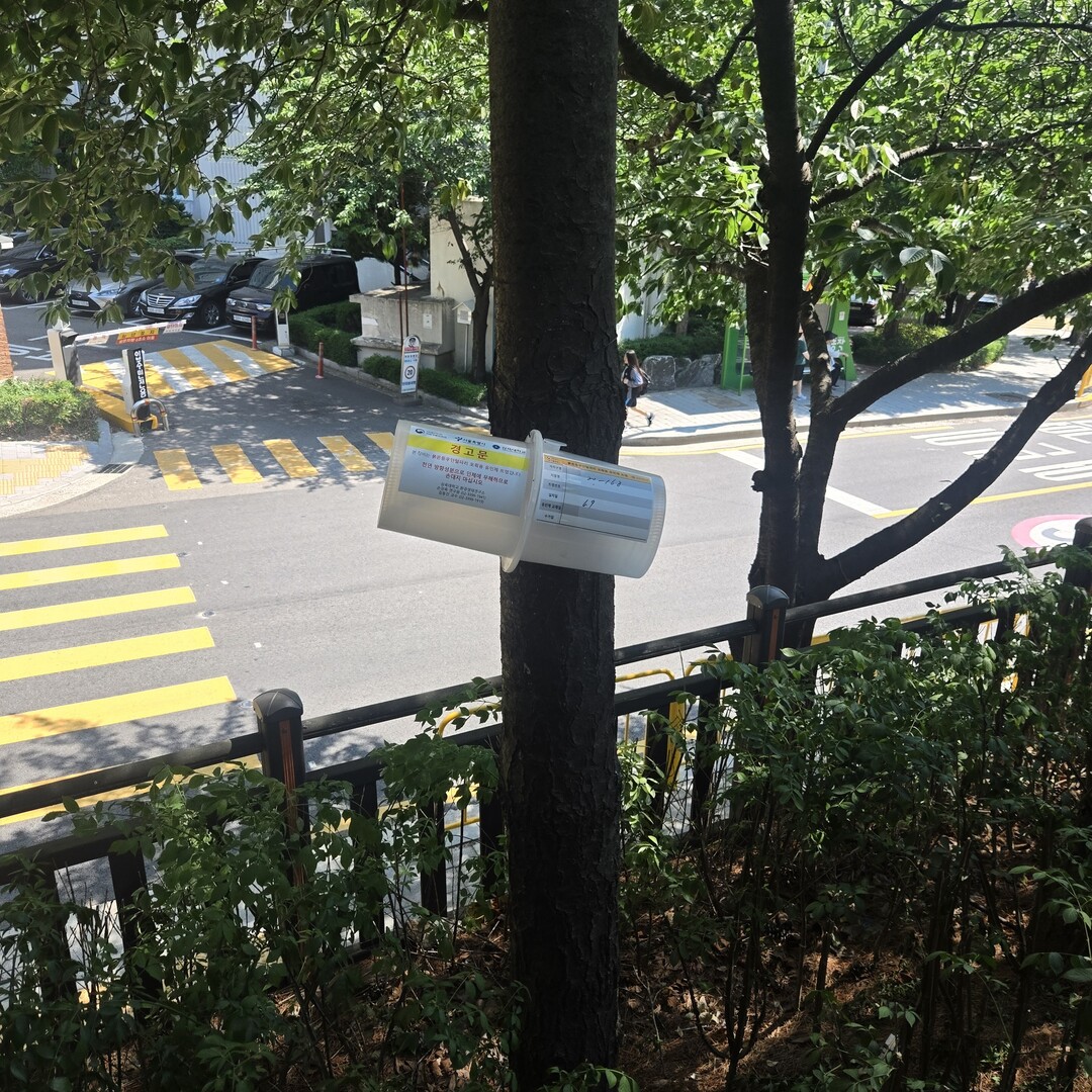 러브버그 확산 막는다… 동작구, 친환...