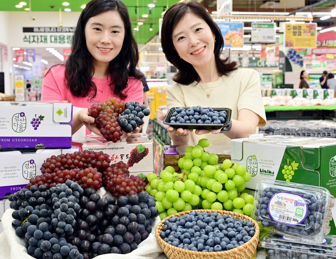 [포토] "보랏빛 건강을 담았다." 농협유통 제철 포도·블루베리 추천