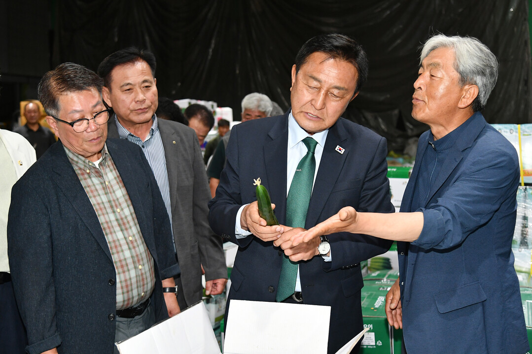 김세훈 화천군수가 지난 3일 밤, 서울시 가락동 농산물 도매시장을 찾아 화천산 오이와 애호박 유통 현황을 점검하고 있다(화천군청 제공)