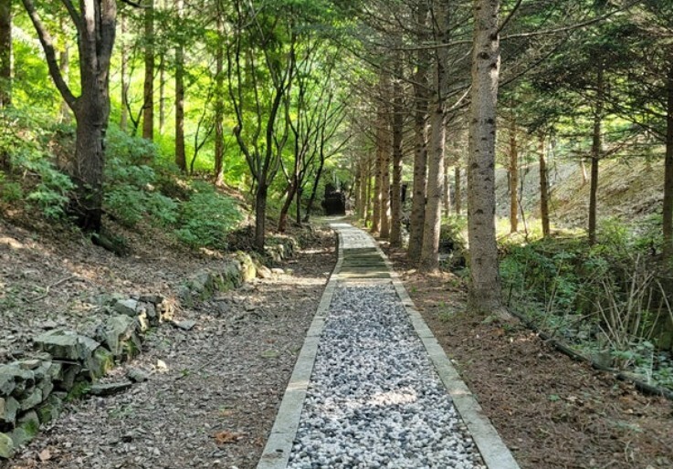 금봉자연휴양림, 여름 숲캉스숲길체험즐기기.