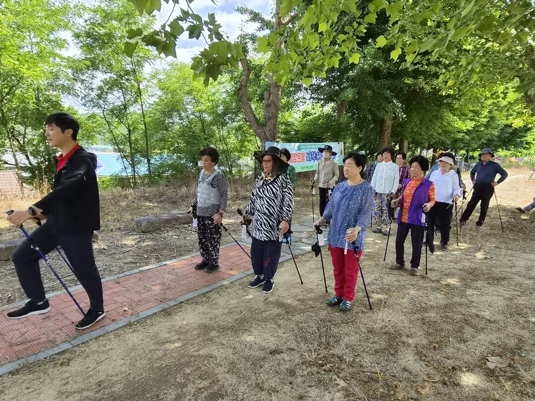 치매보듬마을 노르딕 워킹 낙상 예방 운동 프로그램 운영.