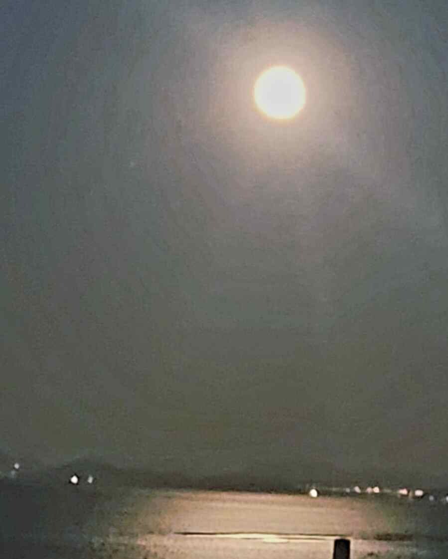 달, 달