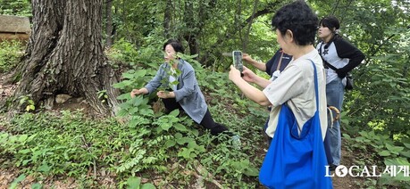 동작구 까치산서 외래 유해식물 '서양등골나물' 제거…민관 생태보전 맞손