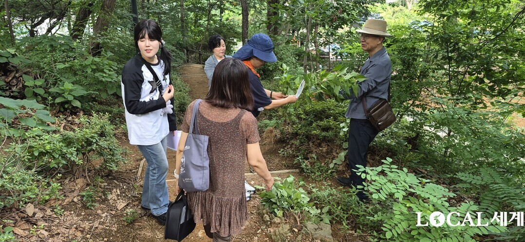 까치산 일대에 서식하는 서양등골나물을 제거하고 있다.