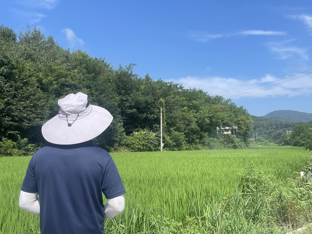 용인특례시는 양봉농가와 친환경 농가에 8월 첫째 주와 둘째 주 드론 방제에 따른 협조를 당부했다.