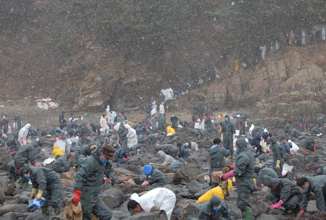 지난 2007년 충남 태안 기름유출 사고 당시 약 3만 명의 봉사자가 현장을 찾아 복구 작업에 동참했다. 이하 신천지자원봉사단 제공
