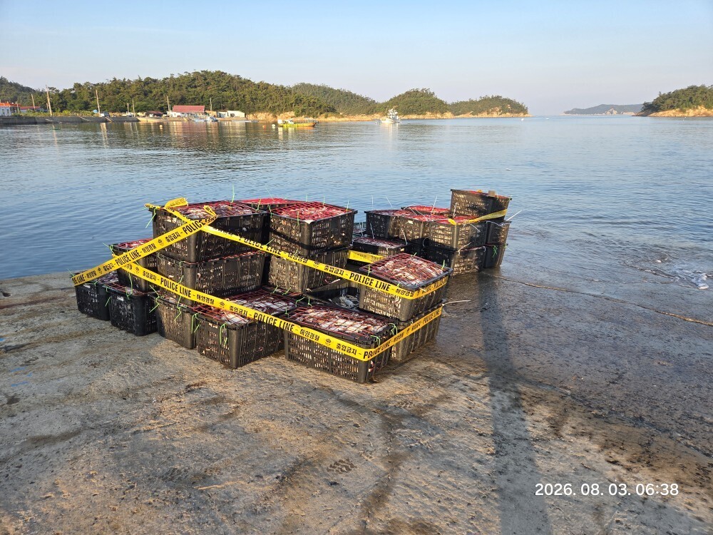 꽃게 금어기 불법조업 선박 2척 적발 압수물. 군산해경 제공
