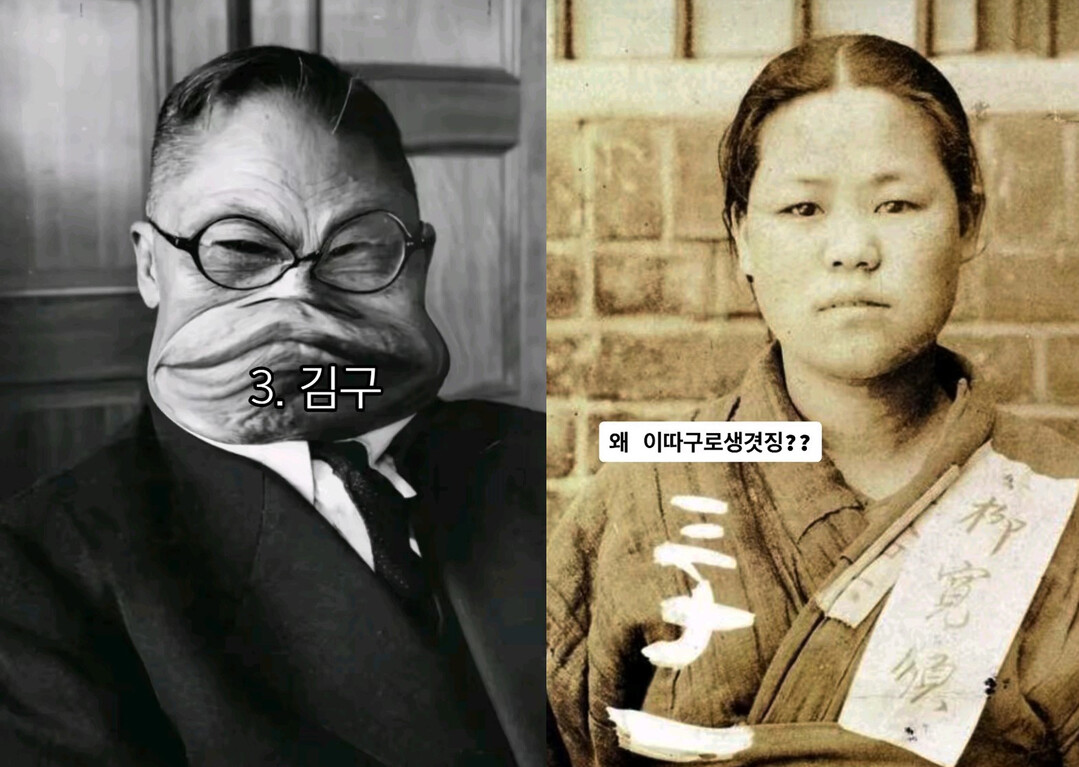 광복절 앞두고 독립운동가 조롱 콘텐츠...
