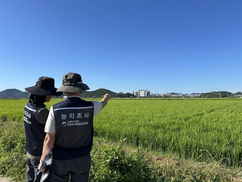 국립농산물품질관리원 충남지원 금산사무소 관계자들이 최근 금산군 일대 평야에서 농지심층조사를 벌이고 있는 장면.  금산군 제공
