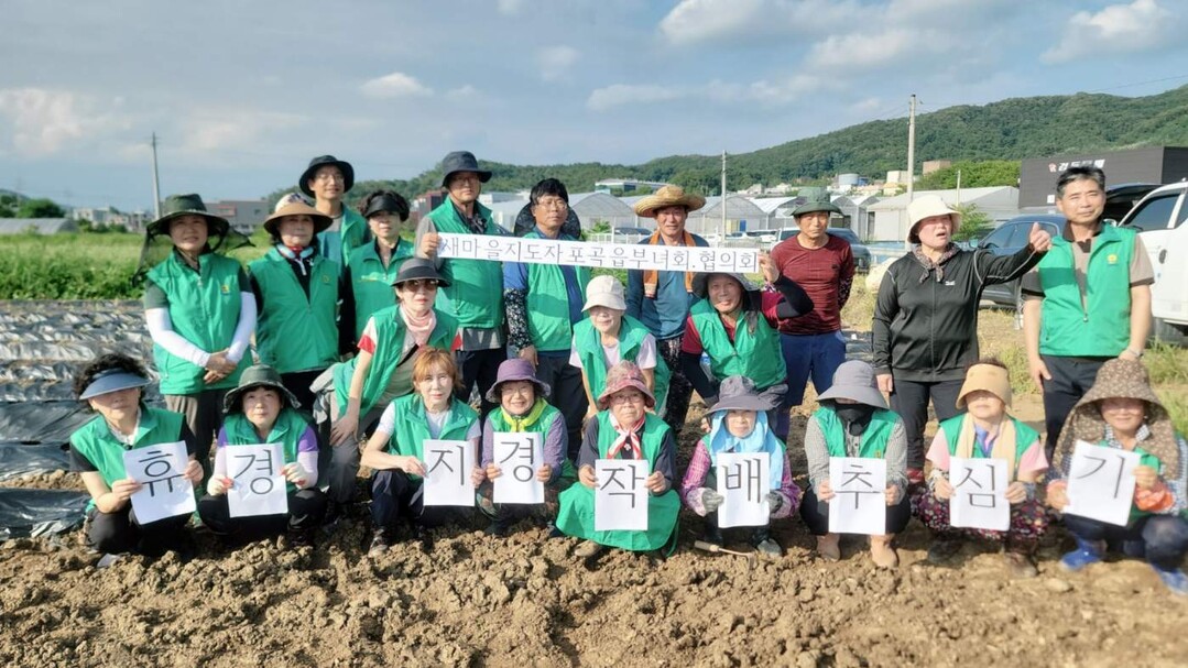 처인구 폭곡읍 새마을지도자 부녀회와 지역 6개 단체는 김장김치 재료 마련을 위해 배추와 무를 심었다.