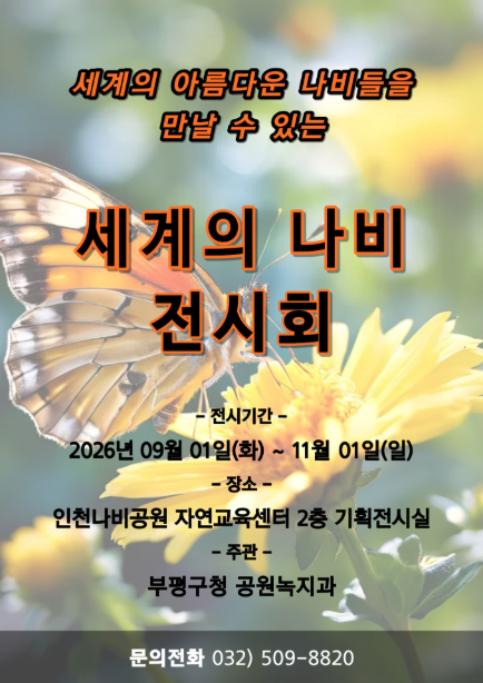인천시 부평구청 제공