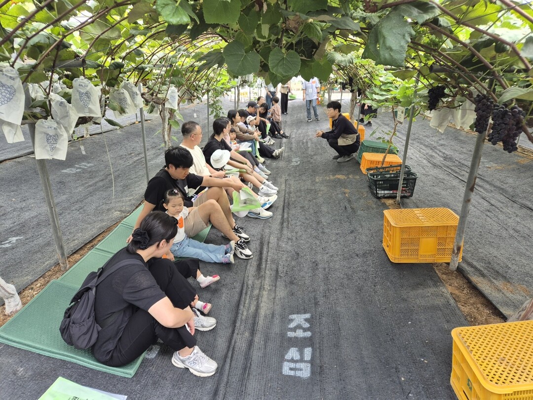 인천시 검단구청 제공