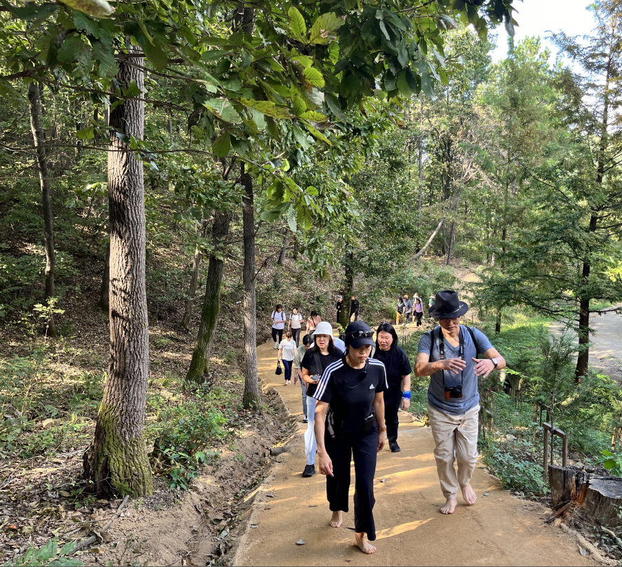 용인시 보건소 시민 참여형 걷기 프로그램 관련 이미지. (용인시 제공)