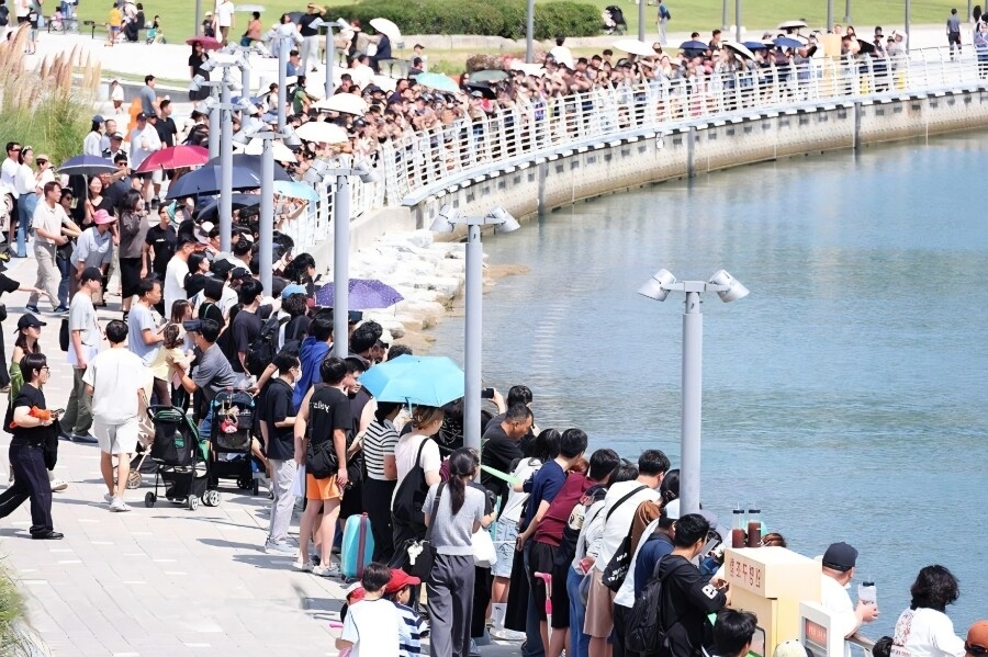지난 18일 부산항 북항 내 북항친수공간에 들어온 상어 