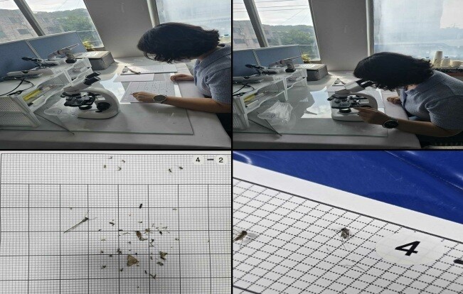 인천시 서해구청 제공
