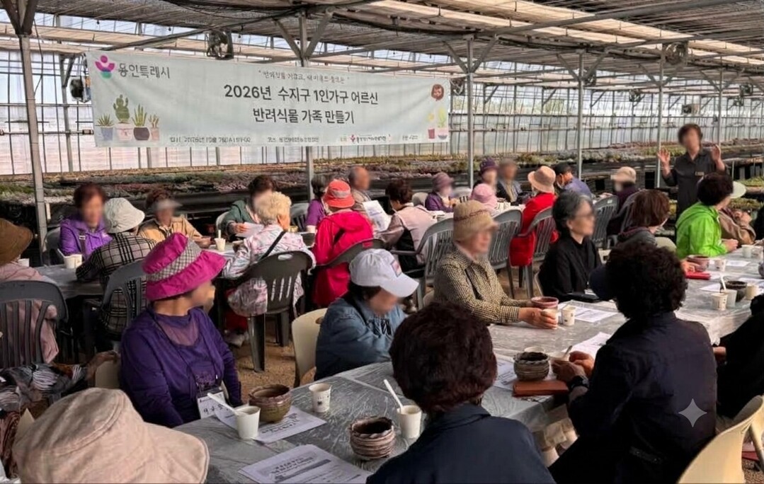 수지구 어르신 반려식물 나눔. 용인시 제공