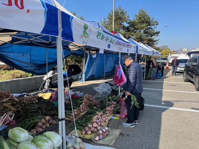인천시 강화군청 제공