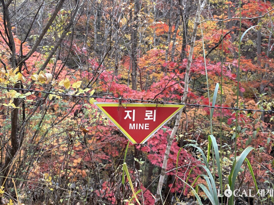 금강산 가는 길 곳곳의 지뢰 표지판