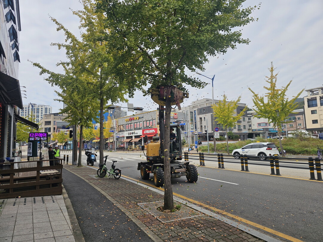 인천시 영종구청 제공