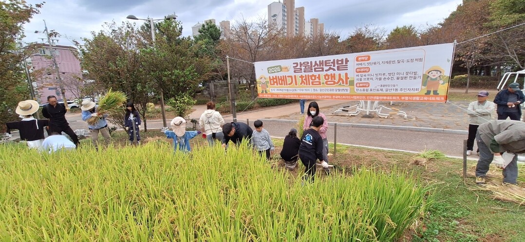 인천시 부평구청 제공